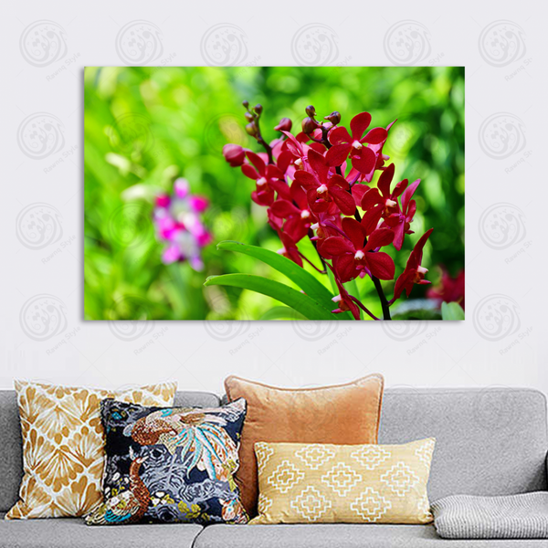red orchid flower painting - E1PR-16592