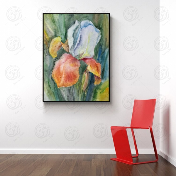 Iris flower white orange painting - E1PR-13350