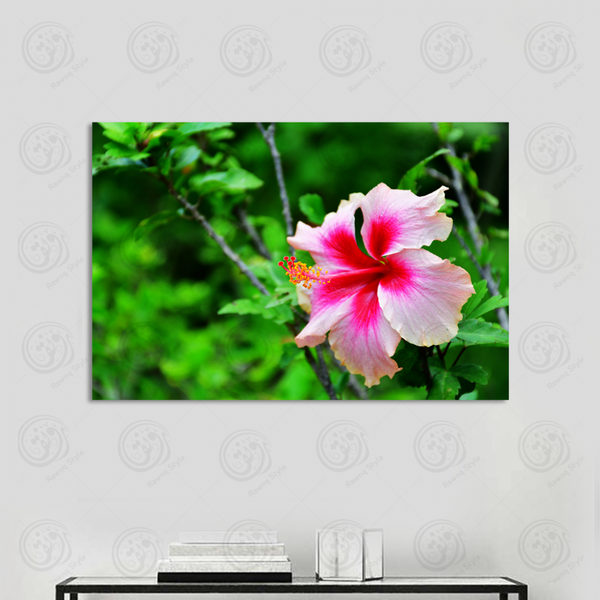 A painting of a hibiscus flower blooming - E1PR-16694